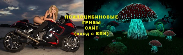 спиды Абинск