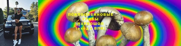 гидра Алексин