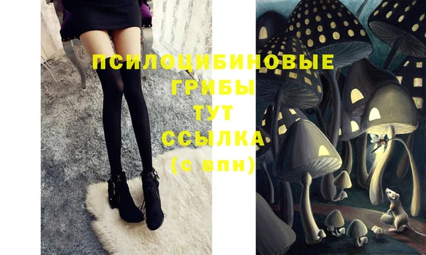 спиды Абинск